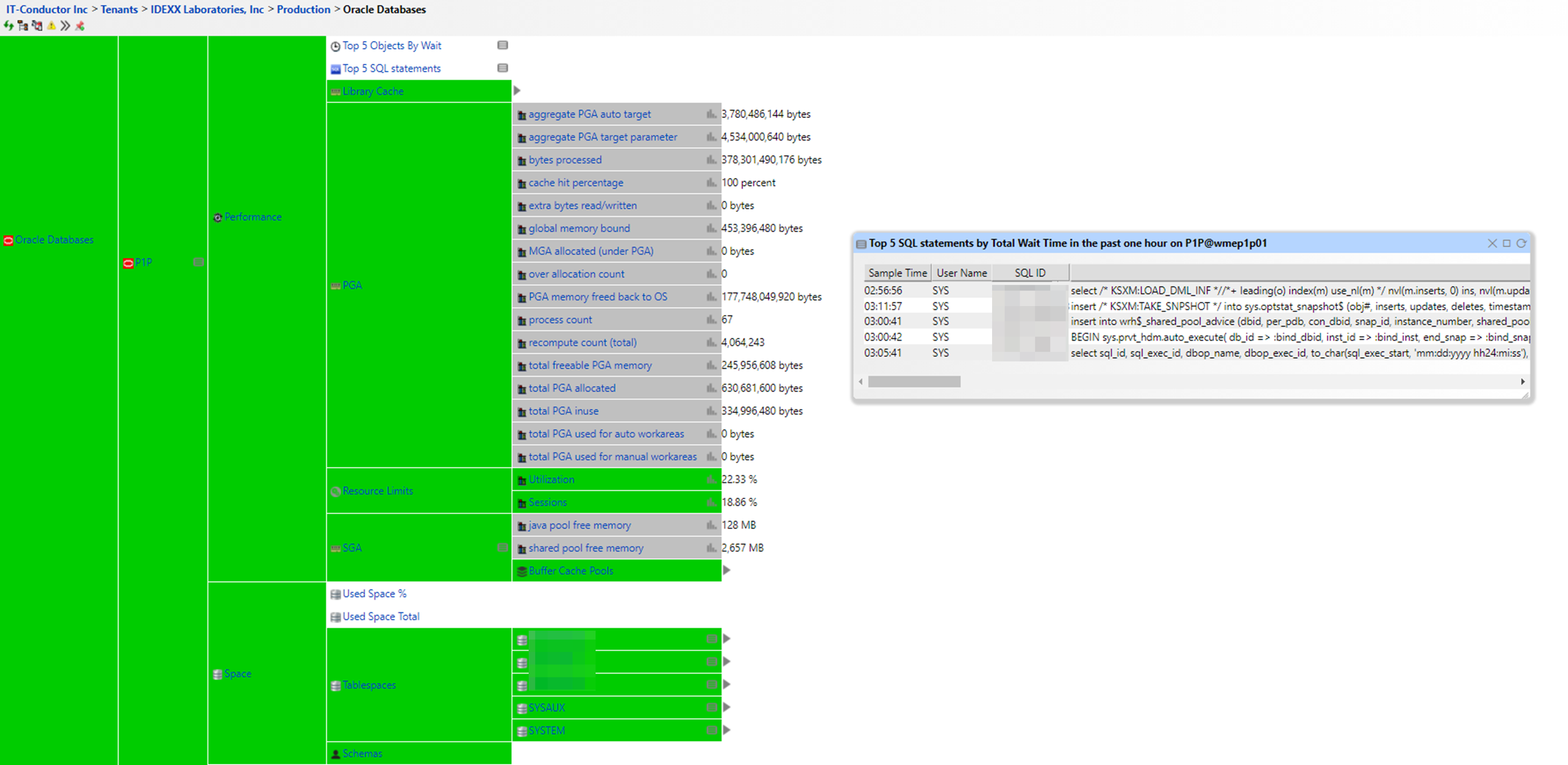 IDEXX_Oracle_Monitoring_in_IT-Conductor