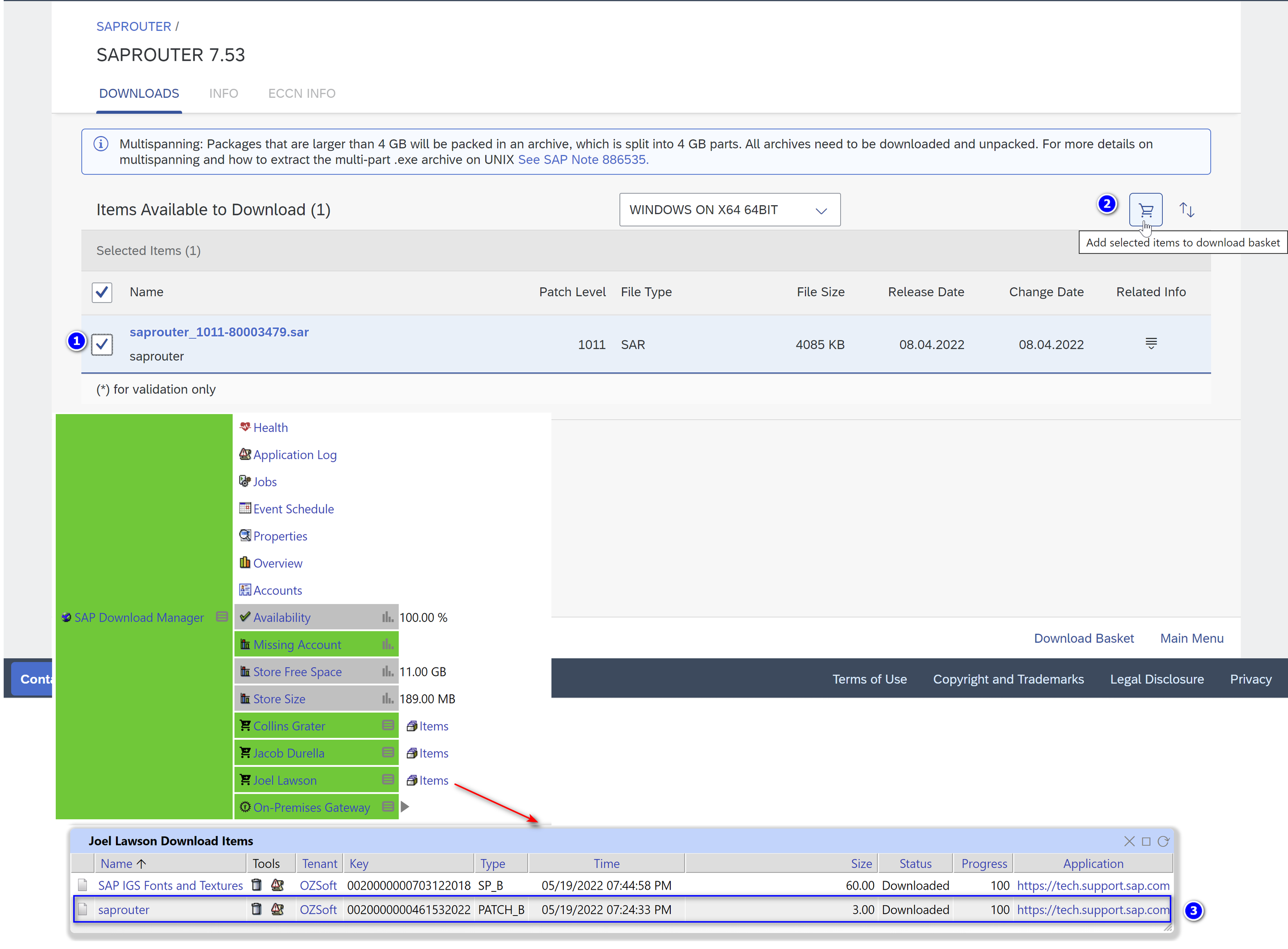 SAP Download Items