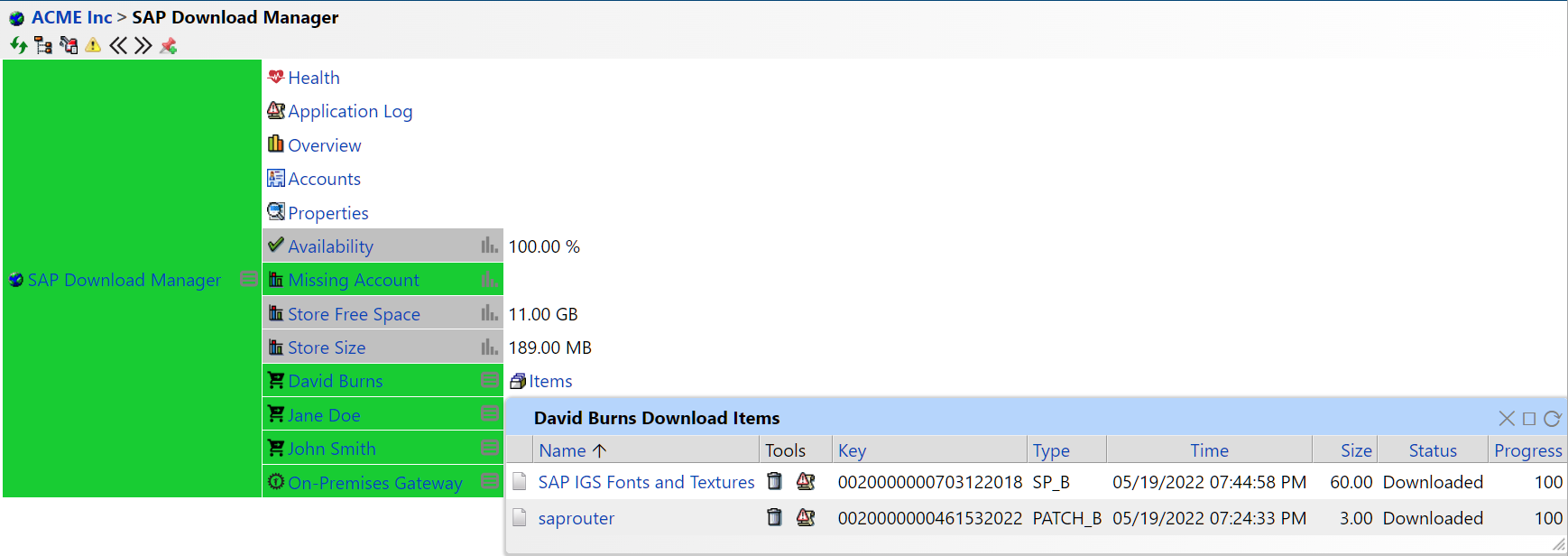 SAP Download Manager Basket View