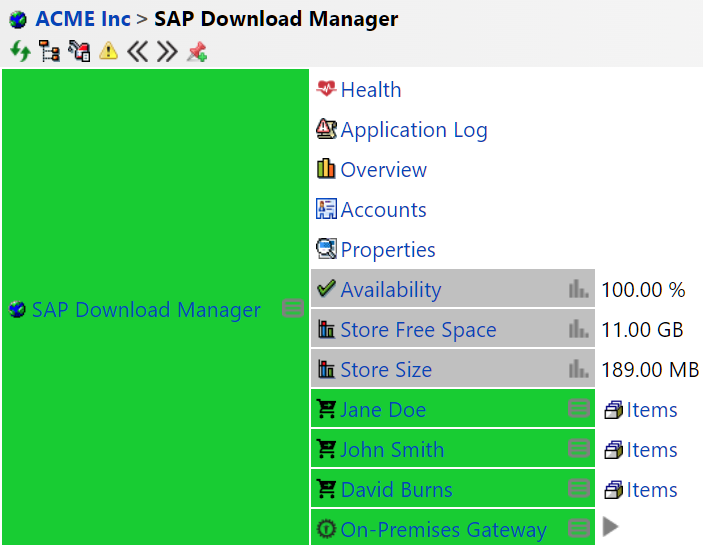 SAP Download Manager Grid