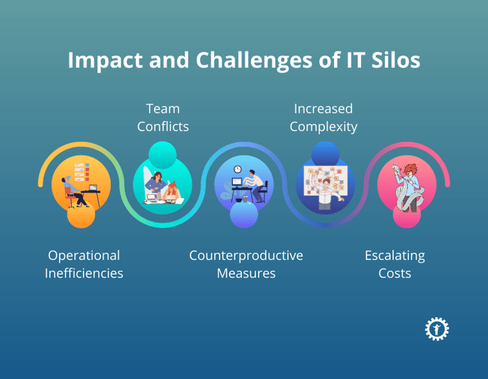 Impact and Challenges of IT Silos