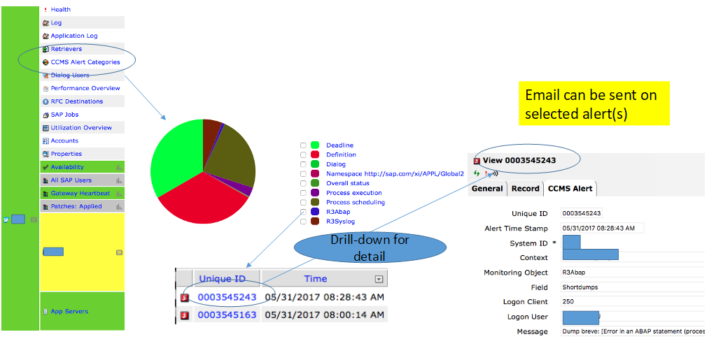 CCMS Alerts Categories and Details