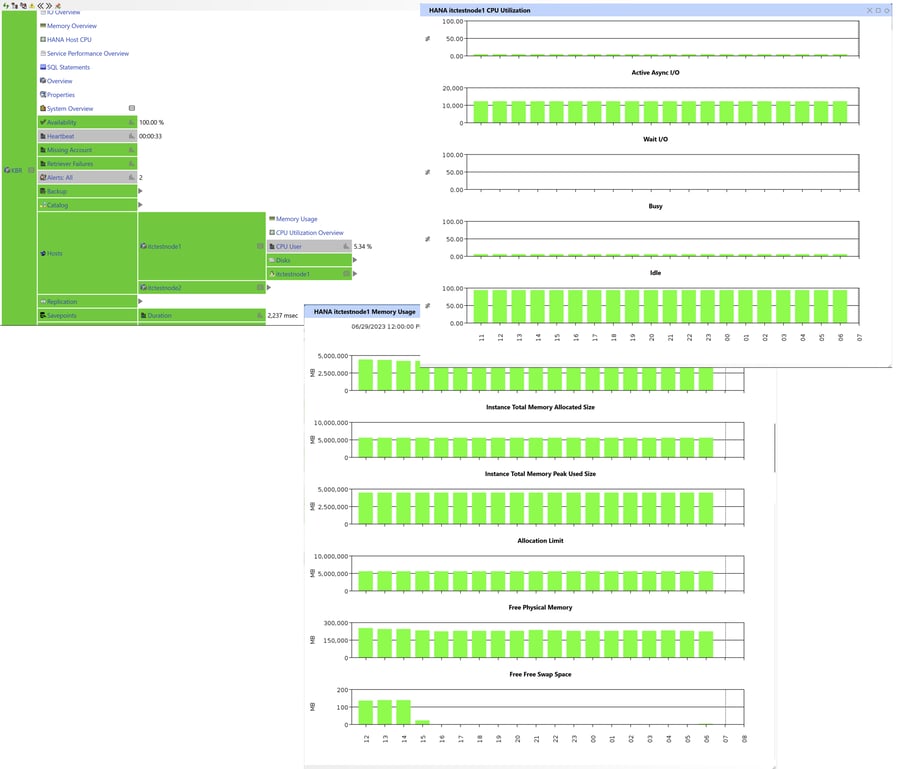 HANA Host CPU & Memory Charts in IT-Conductor