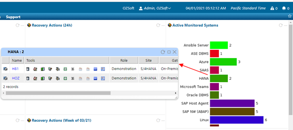 IT-Conductor_Active_Monitored_Systems_2