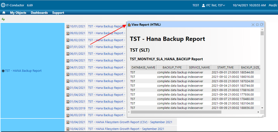 IT-Conductor_Online_Viewing_for_HTML_Reports