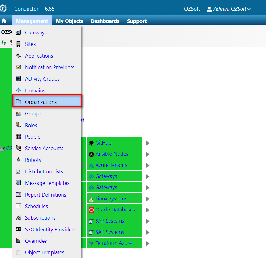 IT-Conductor_Org_Structure_Mgt_Org