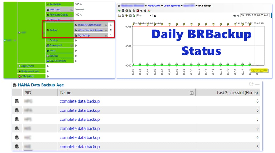 IT-Conductor SAP Basis - Backup Monitoring