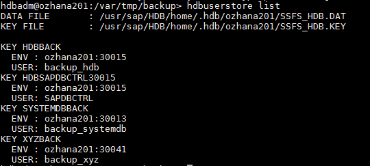 IT-Conductor SAP Basis Automation HANA Backup - Cleanup