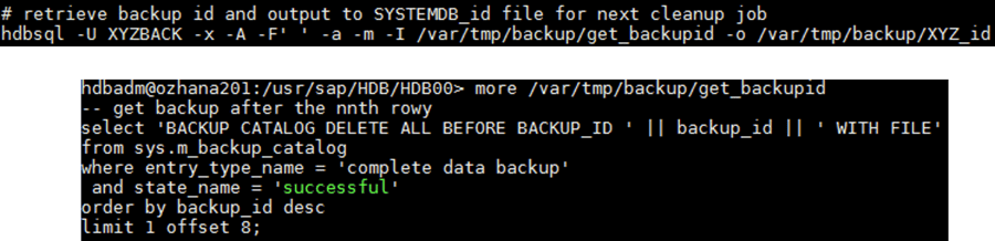 IT-Conductor SAP Basis Automation HANA Backup - Cleanup Catalog
