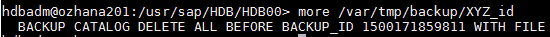 IT-Conductor SAP Basis Automation HANA Backup - Cleanup SQL