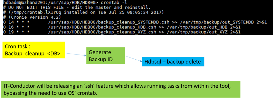 IT-Conductor SAP Basis Automation HANA Backup - Scheduling