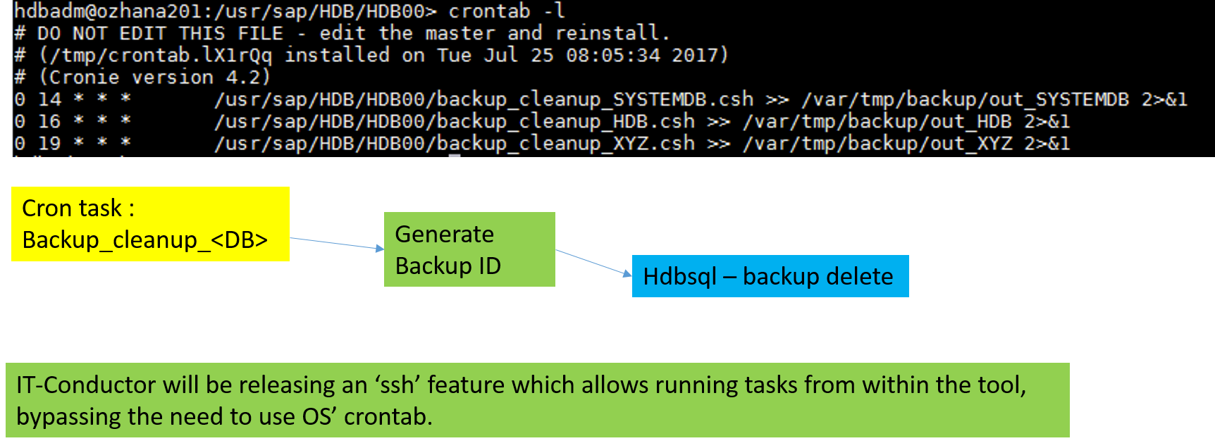 SAP Basis Automation of HANA Backup and Cleanup