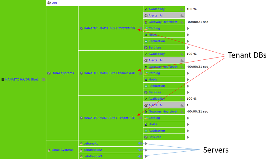 IT-Conductor HANA Monitoring HA/DR Definition Site1