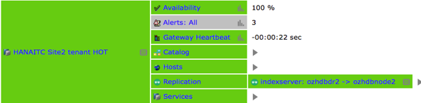 IT-Conductor HANA Monitoring HA/DR Grid SR Alert Resolved