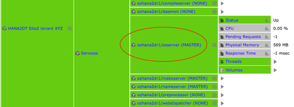 IT-Conductor HANA Monitoring HA/DR Grid SR Dynamic Tiering Site2