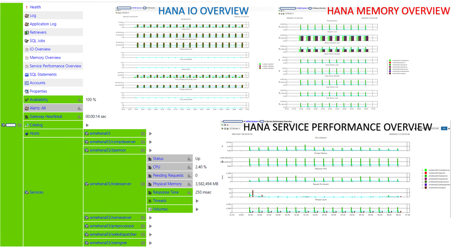 IT-Conductor SAP HANA Performance Overview