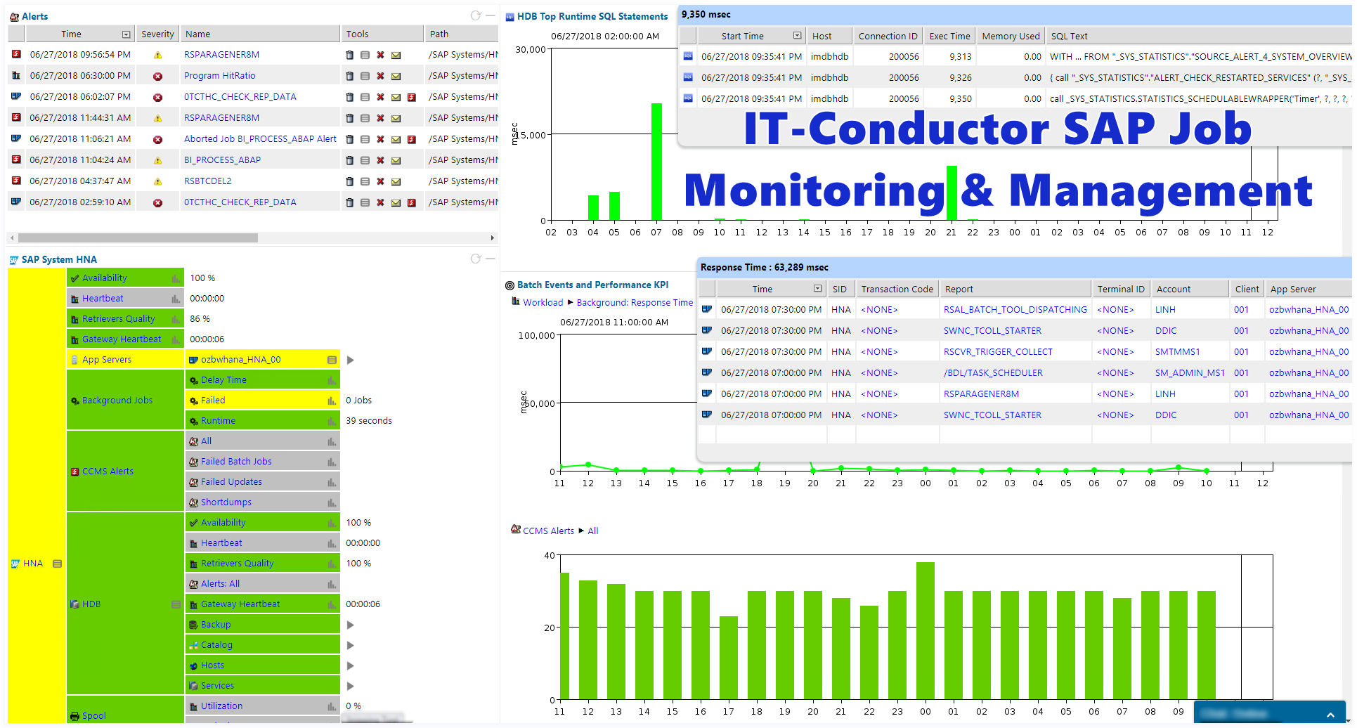 IT-Conductor SAP Job Monitoring and Management