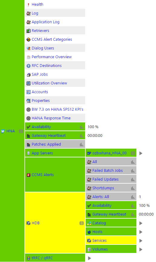 BW on HANA IT-Conductor Service Grid