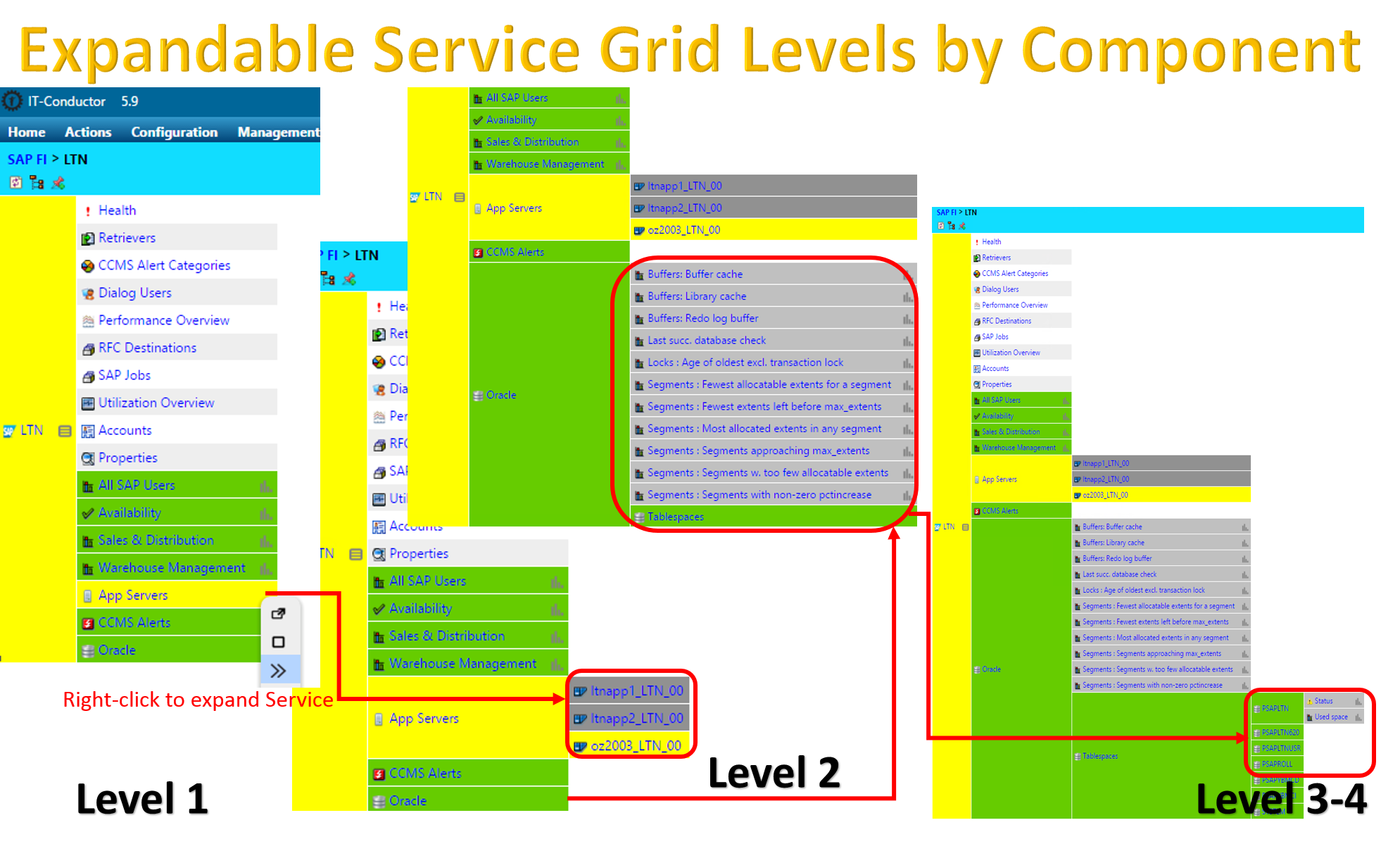 IT-Conductor Expandable Service Grid Levels by Component