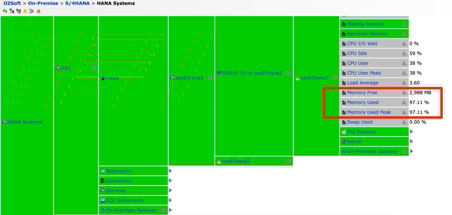 SAP HANA Memory