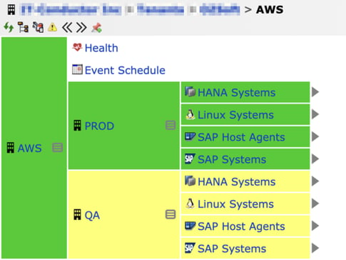 SAP on AWS in IT-Conductor Service Grid