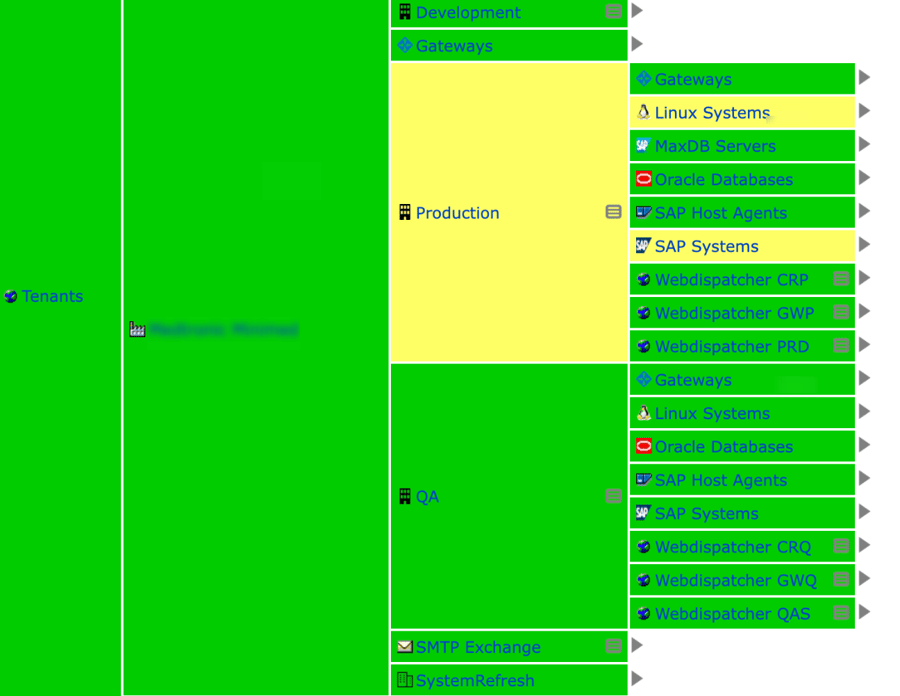 Service Grid in IT-Conductor