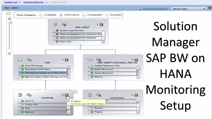 Solman_BWonHANA_MonitorView