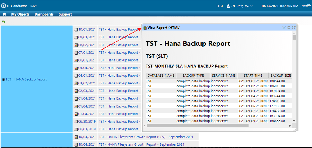 IT-Conductor_Online_Viewing_for_HTML_Reports
