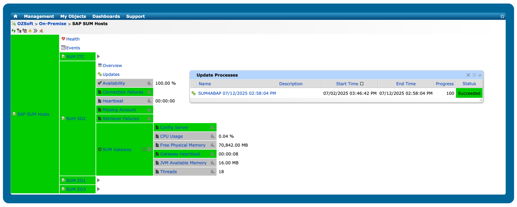 sap-sum-hosts-node-view-graphic