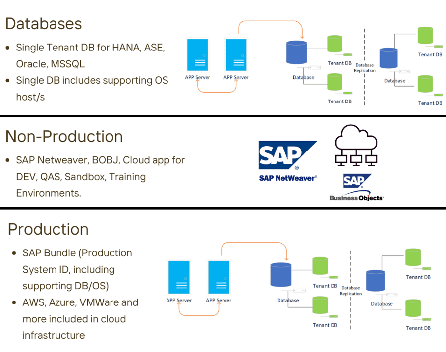 IT-Conductor APM Pricing Guide