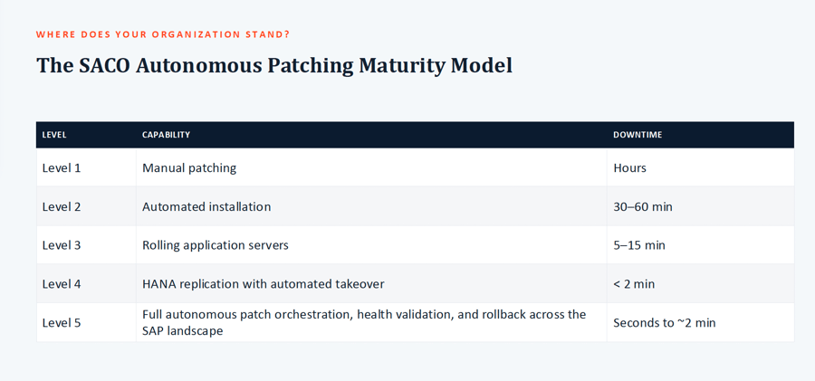 SACO Patching Maturity Model