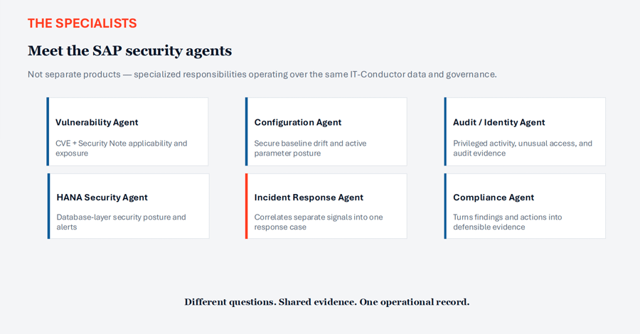 SAP Security Agents