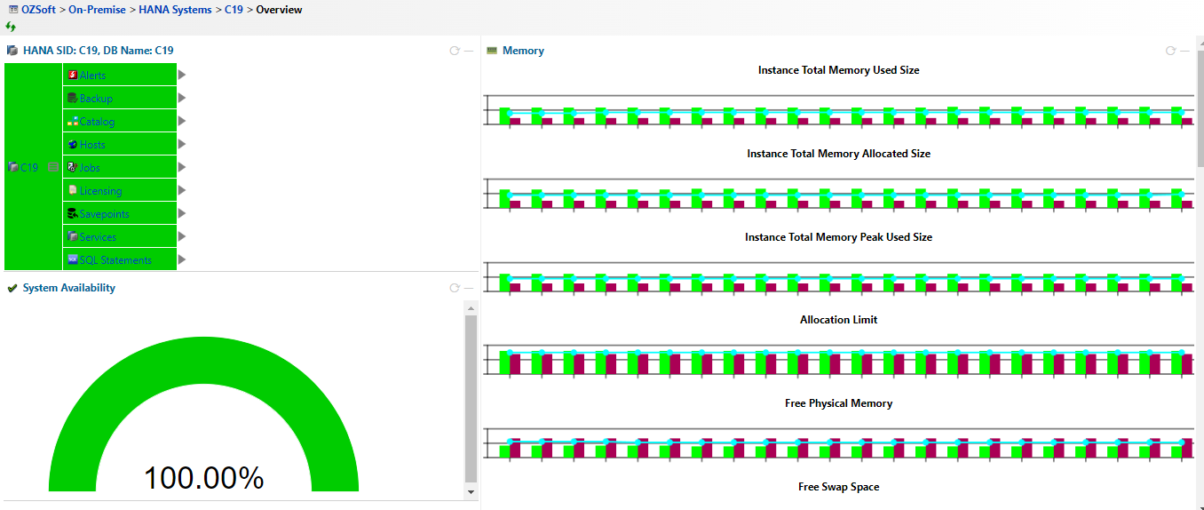 SAP HANA Dashboard