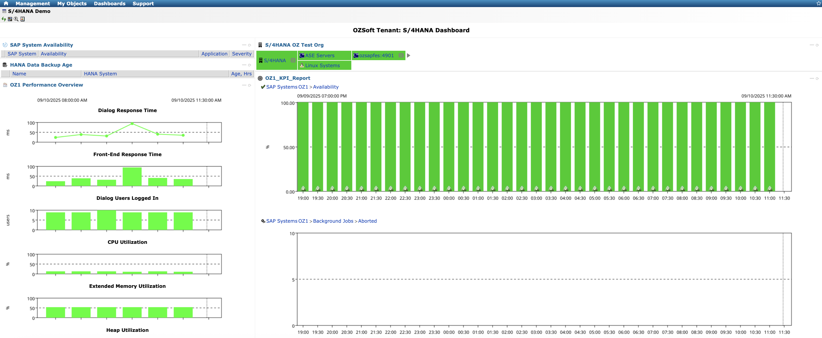 Sample Tenant S/4HANA Dashboard