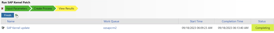 SAP Kernel Patch Automation (Completing)