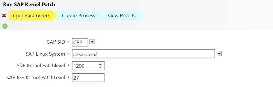 SAP Kernel Patch Automation Input Parameters