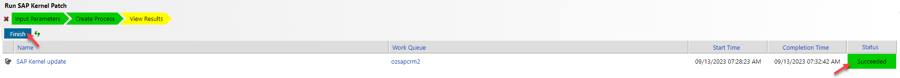 SAP Kernel Patch Automation (Succeeded)