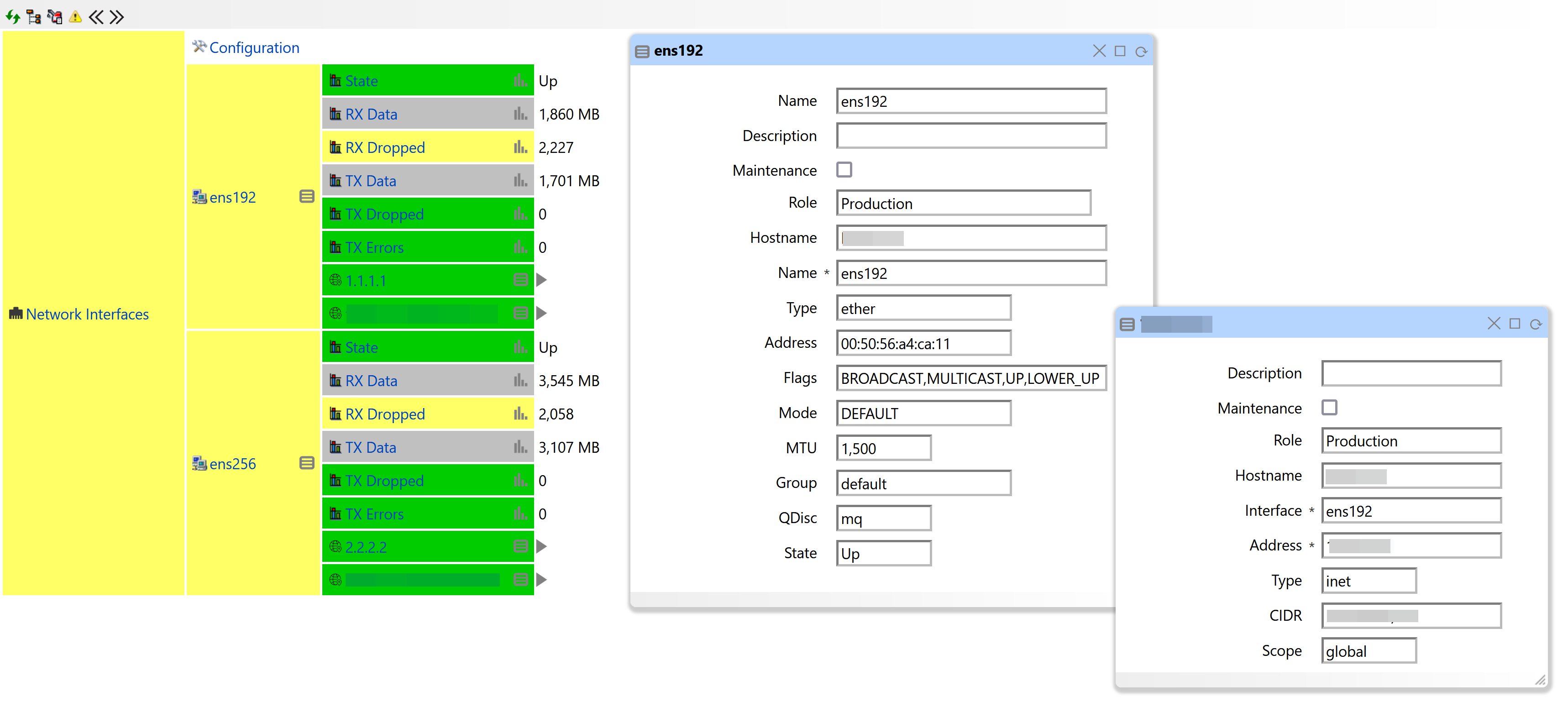 Network Interface Monitoring