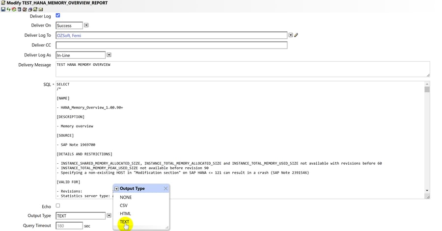 SQL Report Output Types
