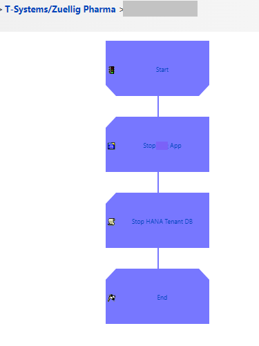 zp start process definition