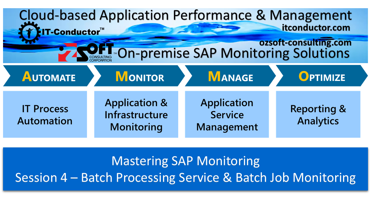 Batch Processing Service and SAP Job Monitoring  Webinar