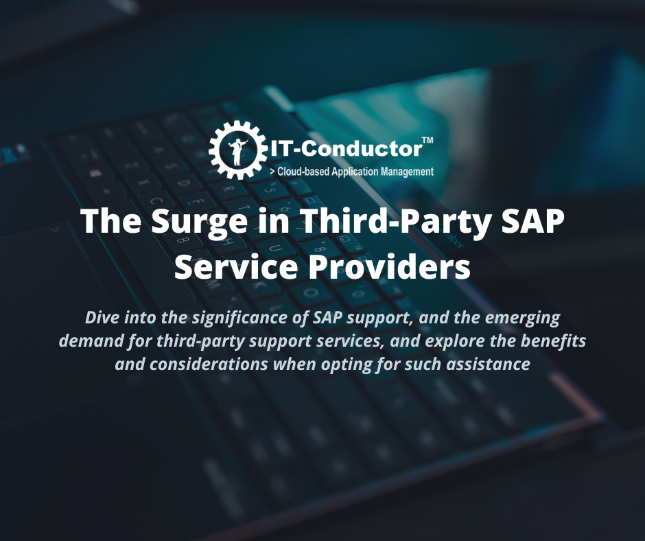 The-Surge-in-Third-Party-SAP-Service-Providers
