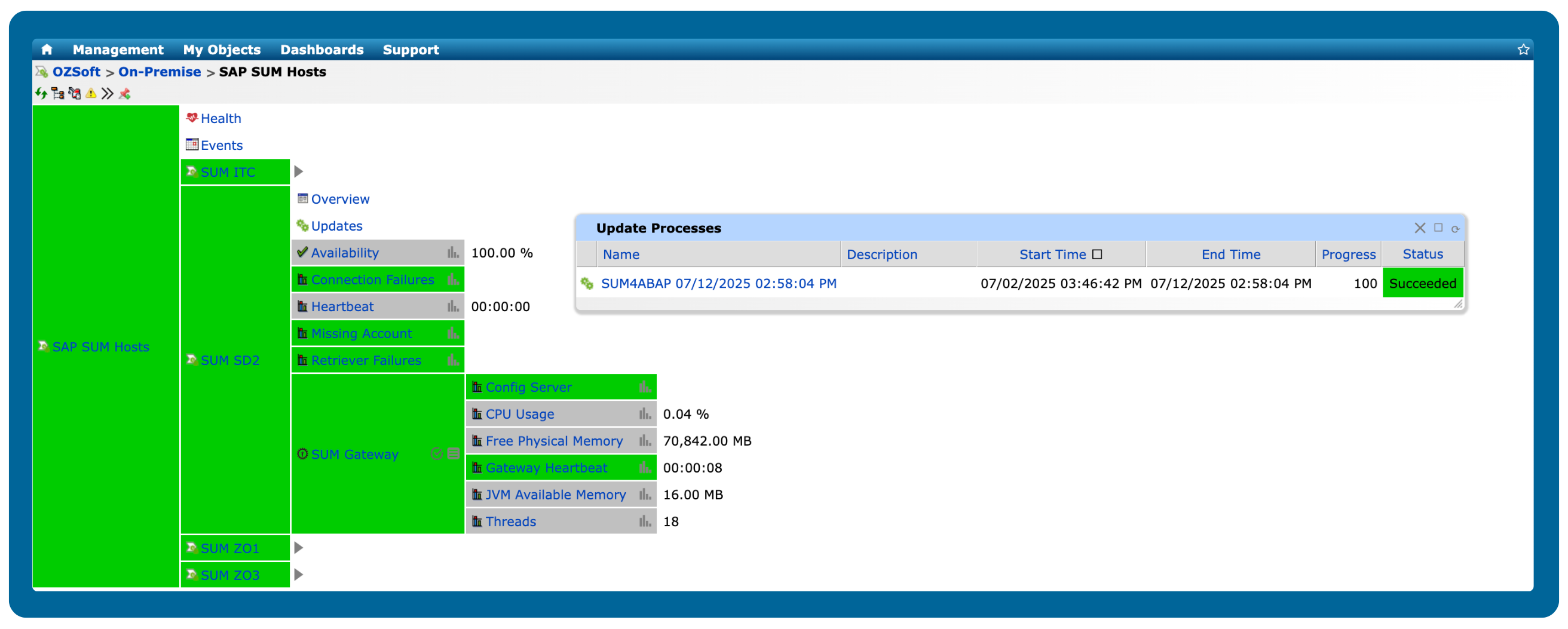 SAP SUM Hosts Node View