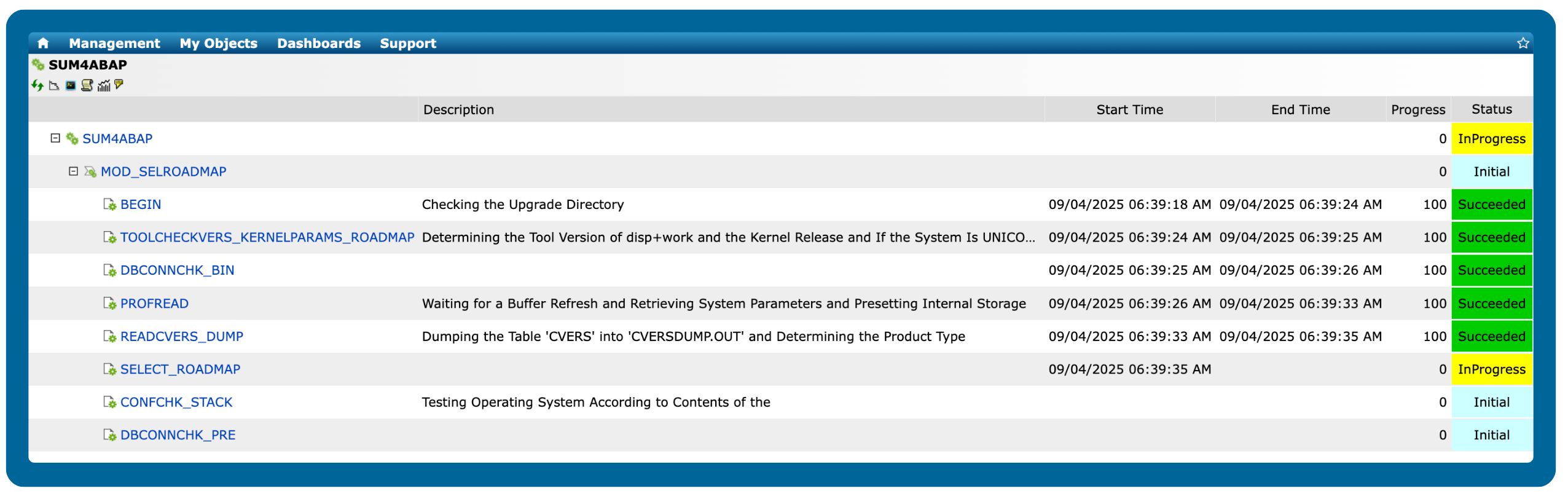 SAP Update Manager View